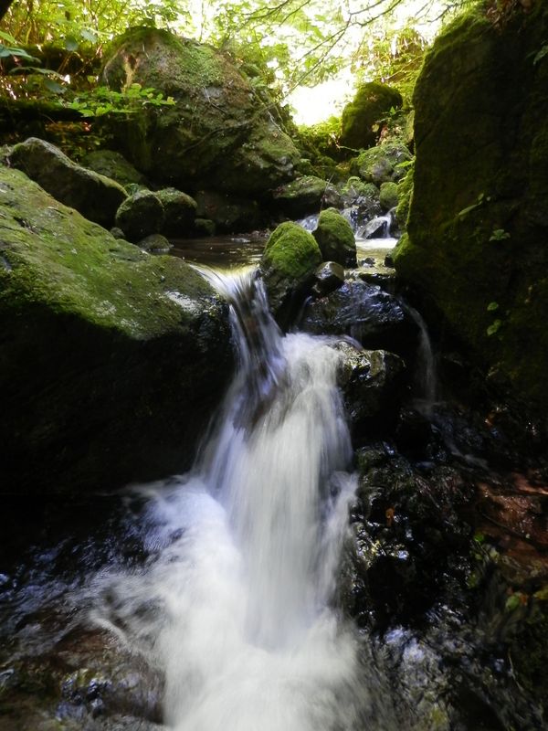 シャワーたっぷり