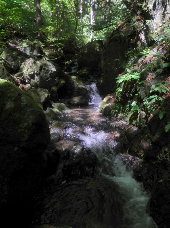 延々と段差の連続