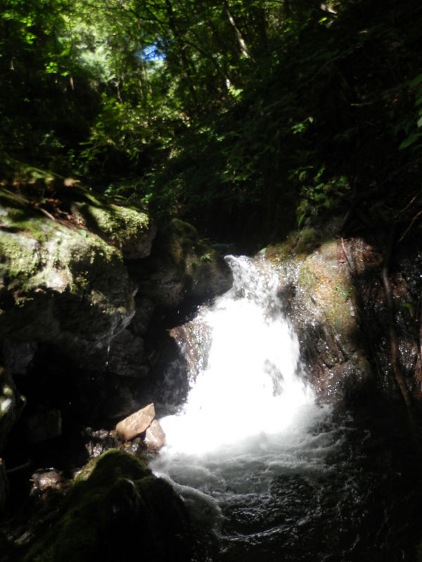 夏は楽しい、シャワークライム