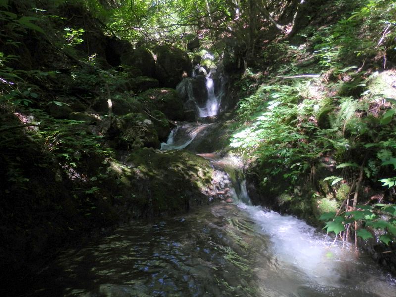 前の写真と同じ場所