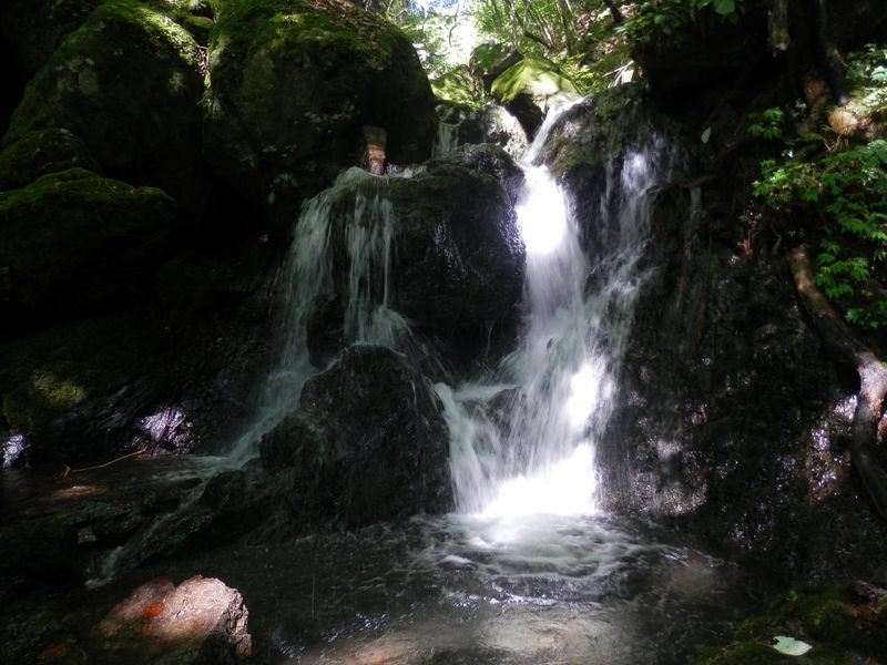 デジカメが使えなくなった