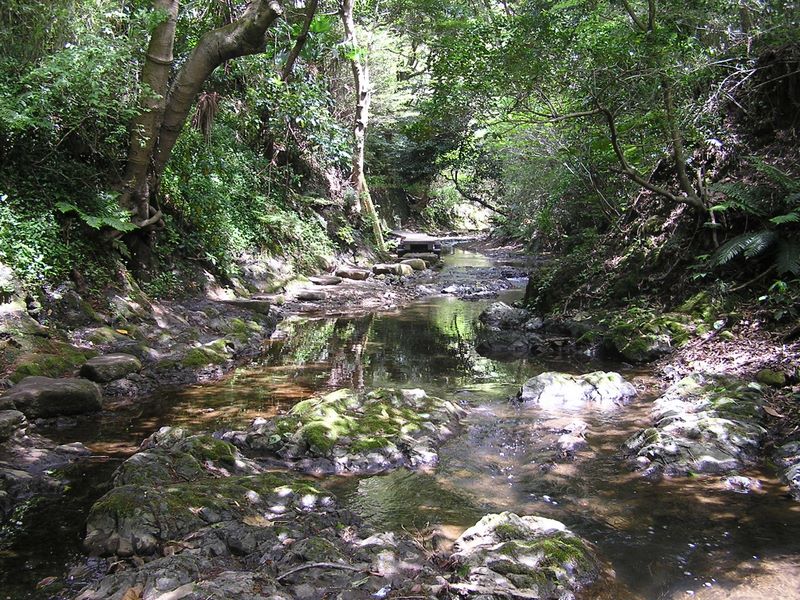 大楠山 -- 水がとてもきれい