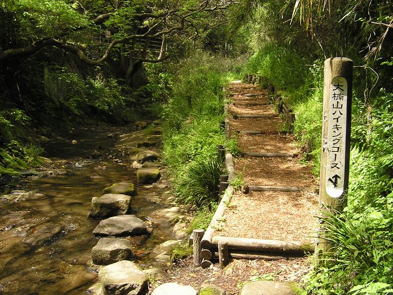 大楠山 -- 前田川遊歩道と分かれ、大楠山ハイキングコースに進む