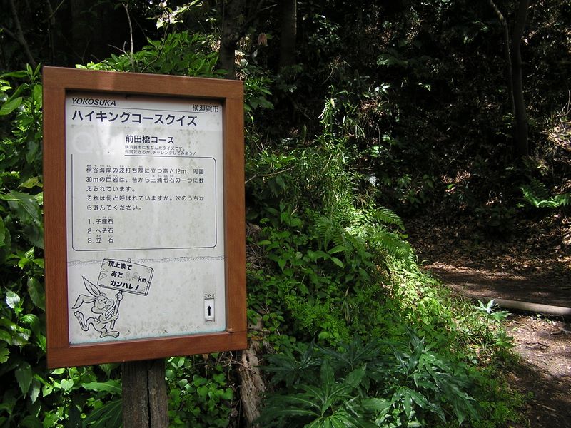 大楠山 -- ハイキングコースのところどころにこんなクイズがある