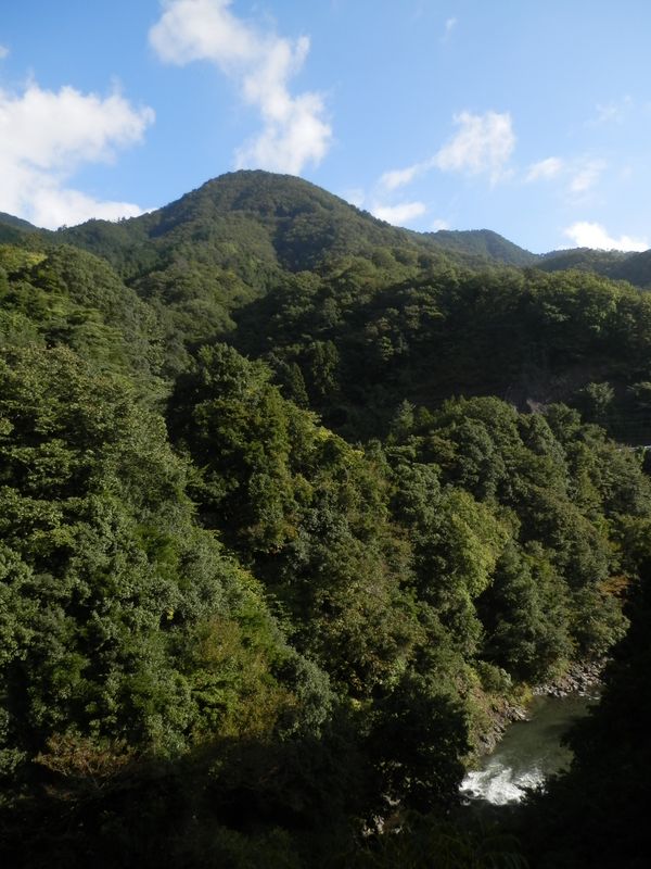 久保吊橋よりムギチロ