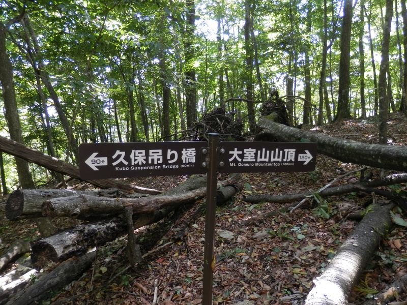 新しい道標の数字