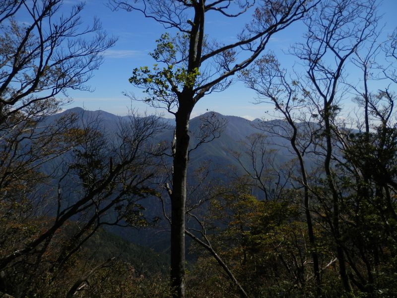 大室山は、蛭ヶ岳より低く、檜洞丸より高い