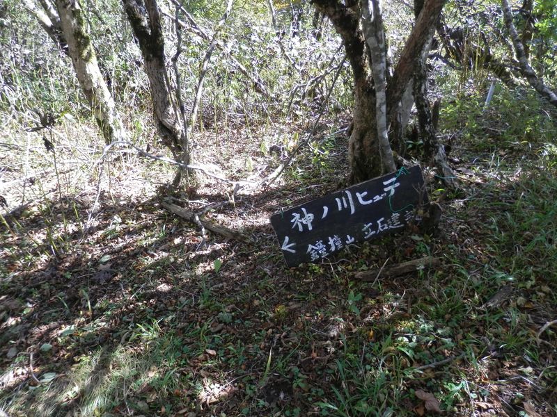 大室山 -- これより、東尾根を下る