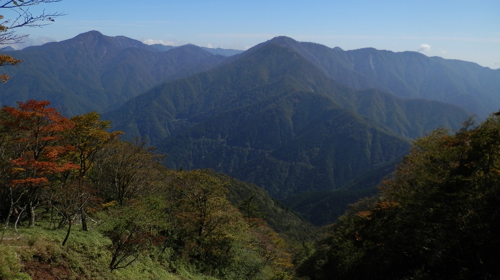 pa032730.jpg (large)