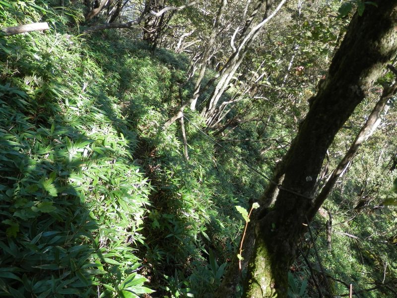 大室山 -- 急な下りが続く