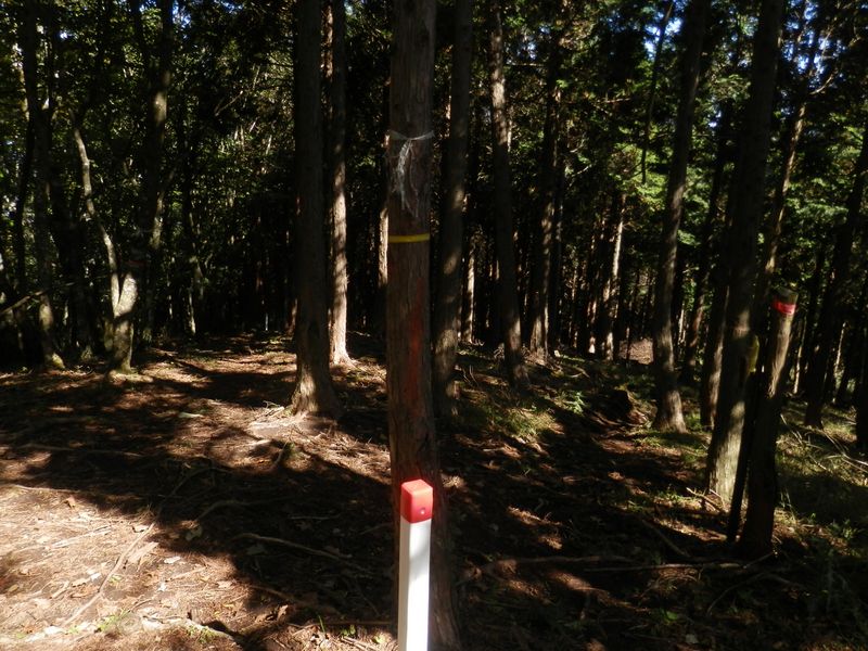 右は神ノ川ヒュッテ、左は鐘撞山