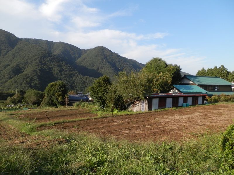 下山して目にする民家