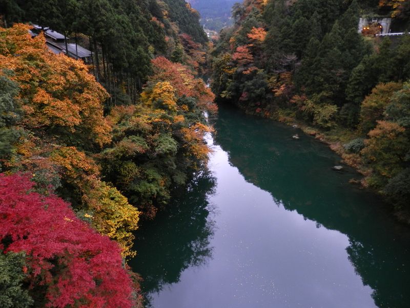 数馬峡橋から多摩川上流方向を望む