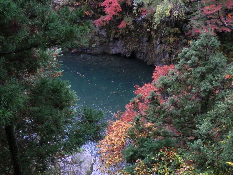 多摩川の右岸より、左岸を望む
