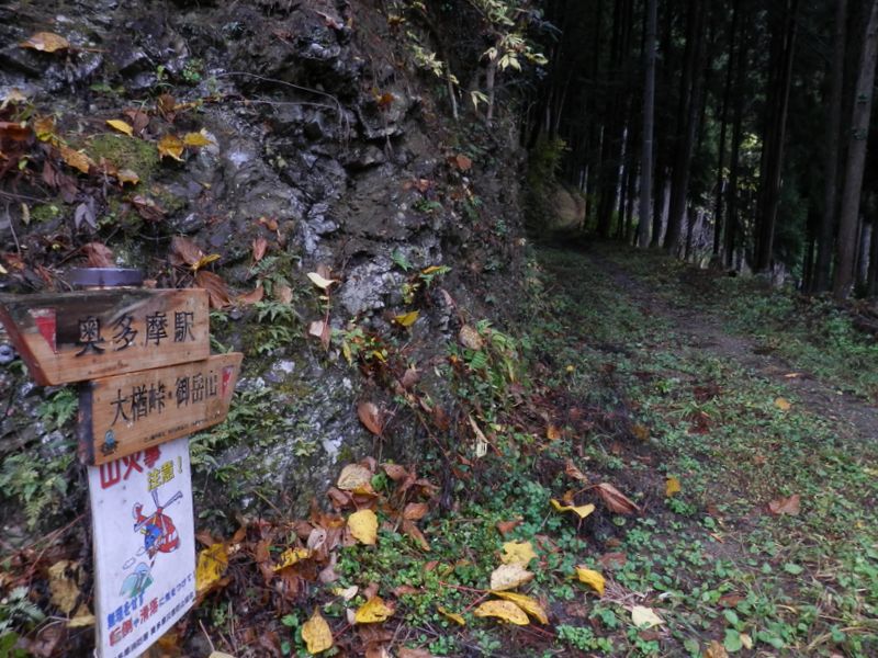 ここで山道に入る