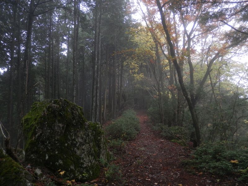 霧が濃くなってきた