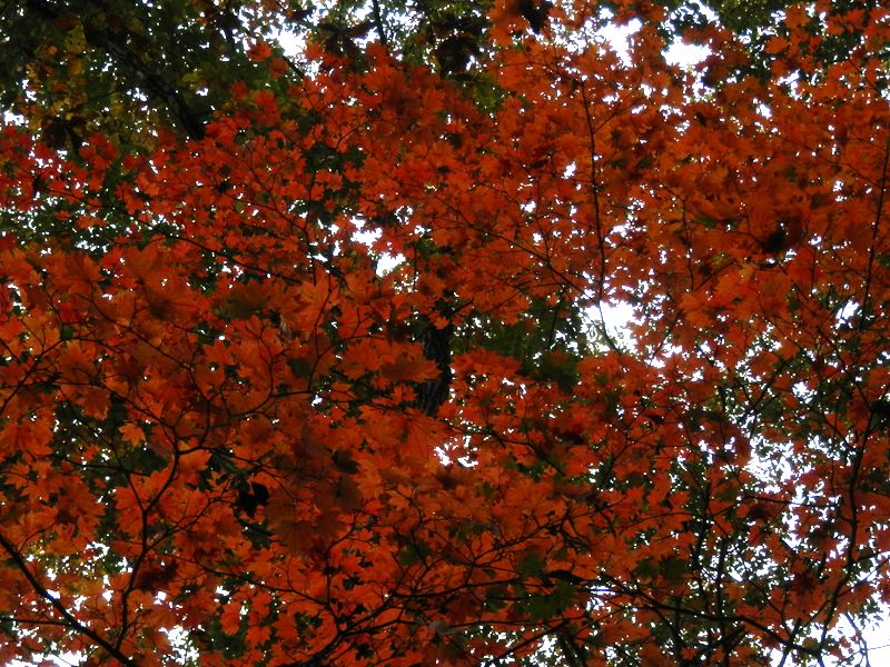 晴れていないのが惜しい！