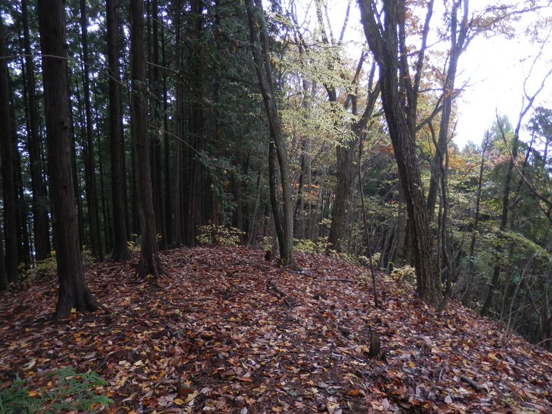 このあたりが白ナギノ頭ではないかと思う