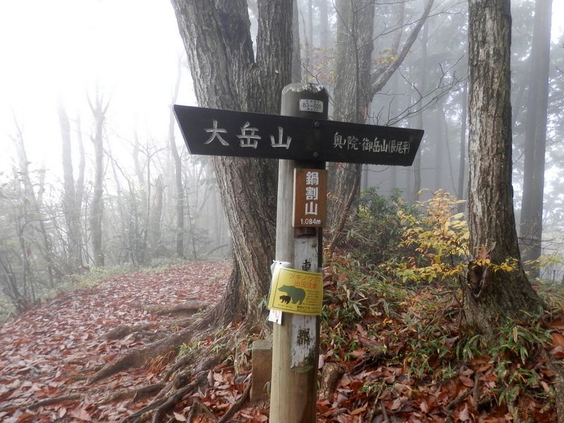 鍋割山頂に到着