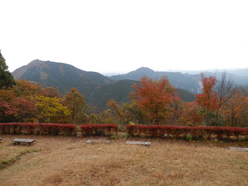 展望台より望む、日の出山と麻生山