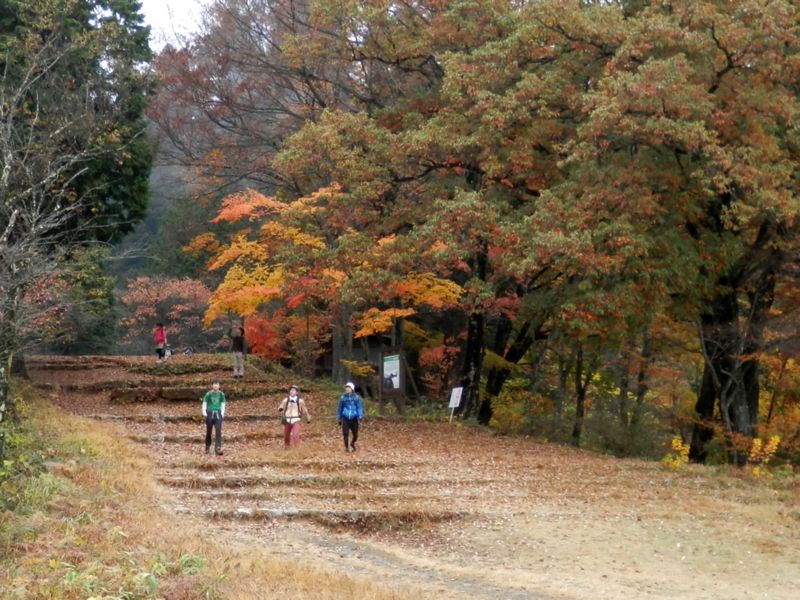 東京のテレビ局が長尾平を撮影していた