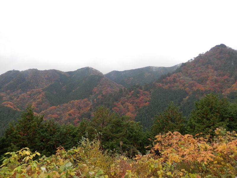 上高岩山から男具那ノ峰まで