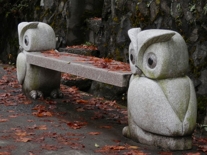 ベンチの上にもモミジがいっぱい