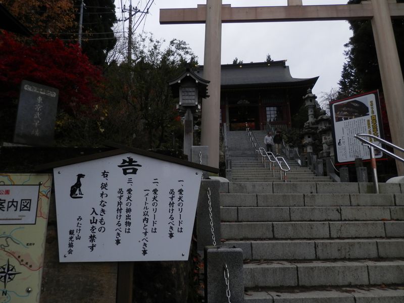 御岳山は、「お犬様」「ワンコ様」大歓迎