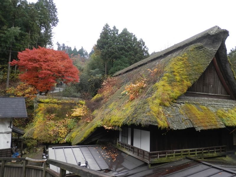 ほぼ定点撮影の宿坊