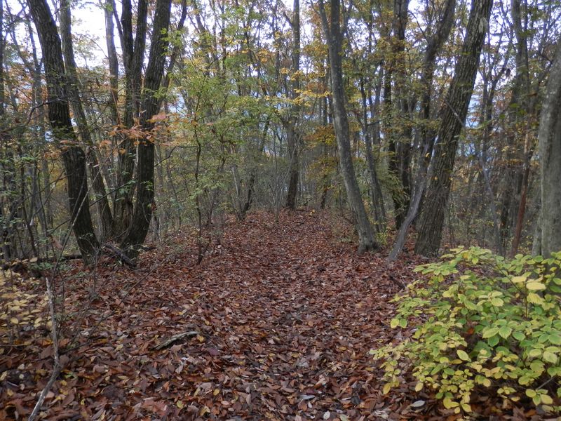 丹三郎への下り道