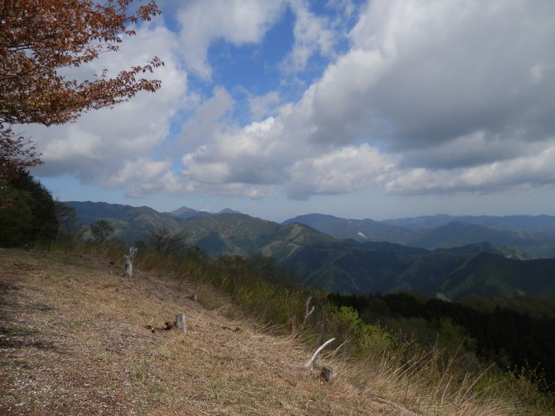 大持山と武甲山が双耳峰のように見える