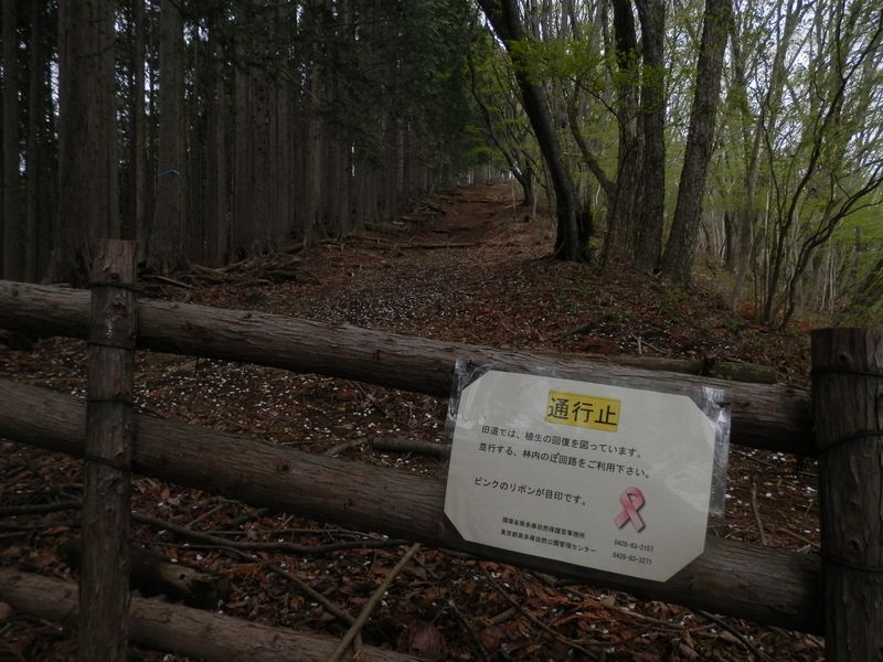植生回復のため
