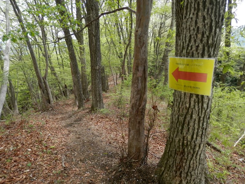 黒山から小沢峠に向かう