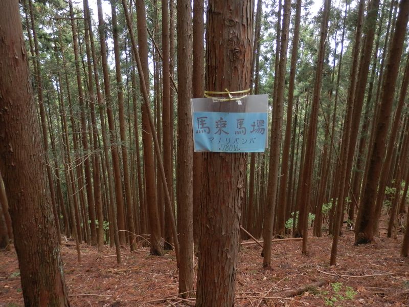 馬乗馬場を通過