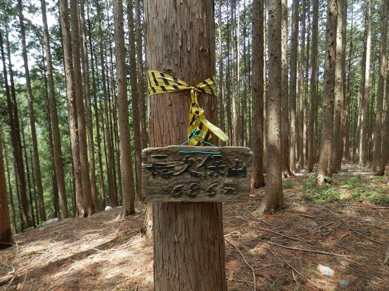 長久保山を通過