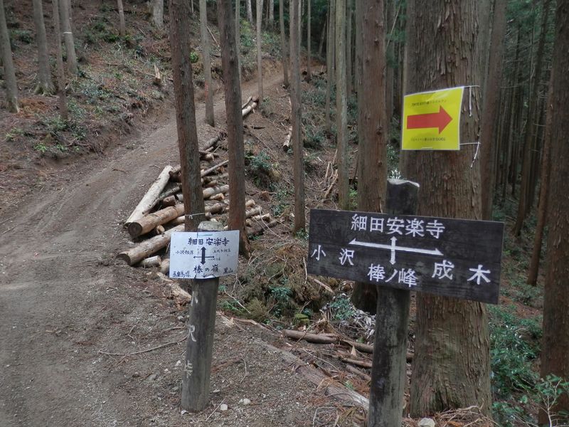 小沢峠より、細田・安楽寺方面に進む