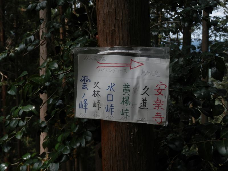 成木尾根は自然道のハイキングコースだそうだ