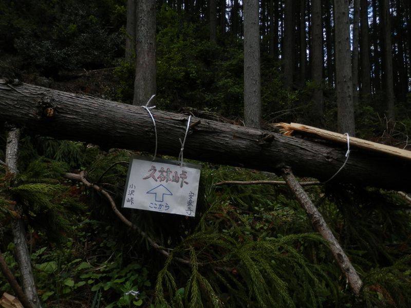 林道が久方峠に最接近する地点