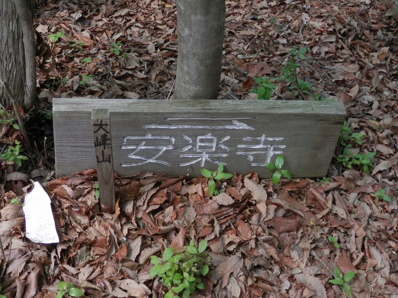 大峰山という山があった