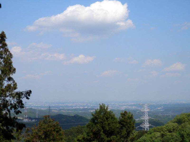 大仁田山頂は、東面がわずかに望める