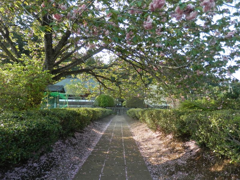 安楽寺を振り返る