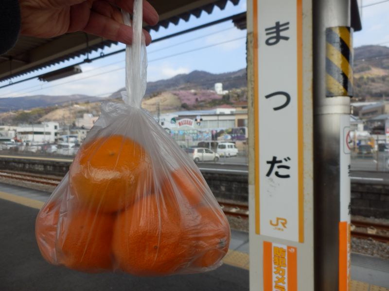 10個で200円のみかん