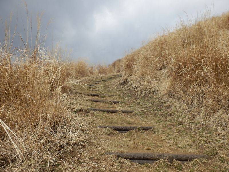 牧草地の中の道を登る