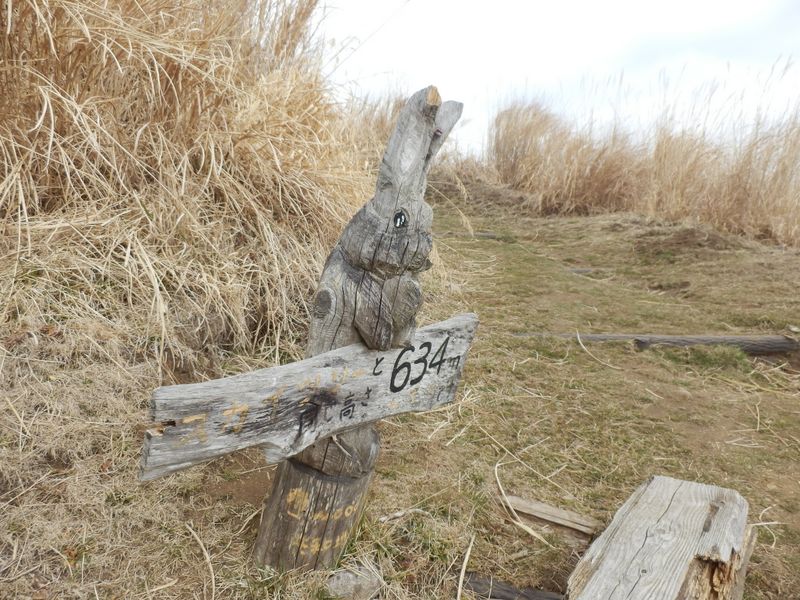 スカイツリーと同じ高さ