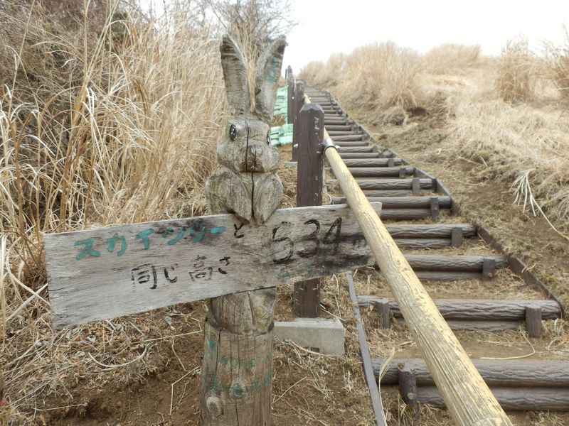 また出てきたね、634m