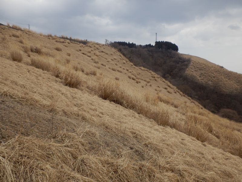 あの稜線は高杉コース