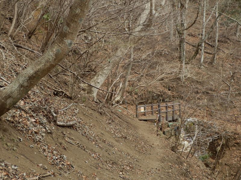 ザレたトラバース道