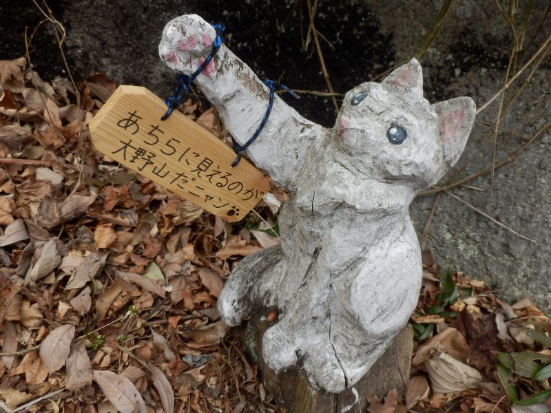 あちらに見えるのが大野山だニャン