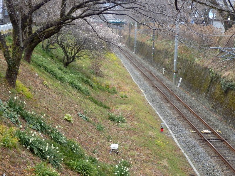 山北駅まであと10分