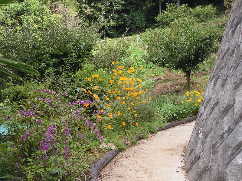 農家の裏の畑に登山道
